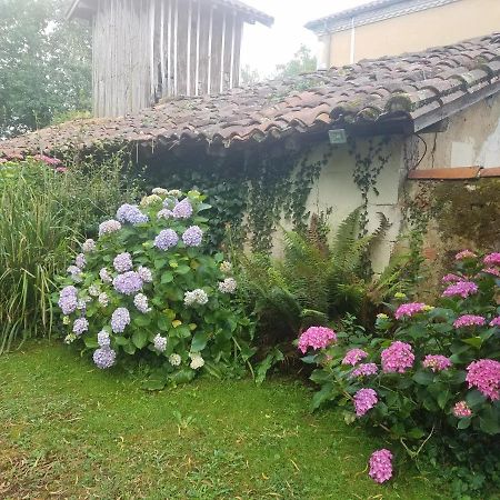 Gite Matilon, 5 Min Eugenie Les Bains Buanes Eksteriør bilde